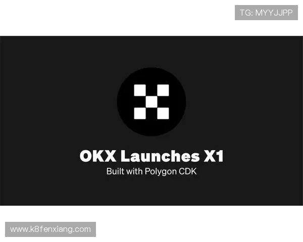 K8官网APP下载安装流程详解带你一步步完成下载安装任务