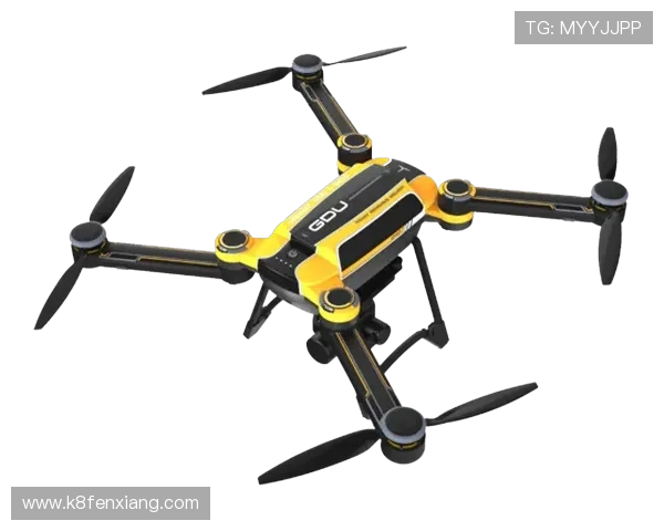 gd视讯游戏平台怎么样为新手玩家提供的安全保障与优质服务介绍