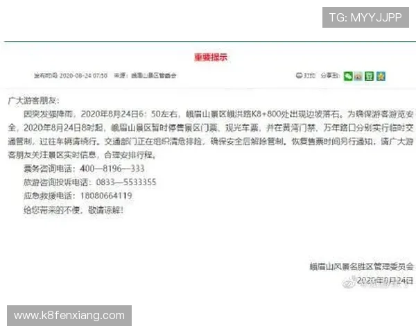 探索K8体育网论坛的热门话题与专业分析内容的深度解读